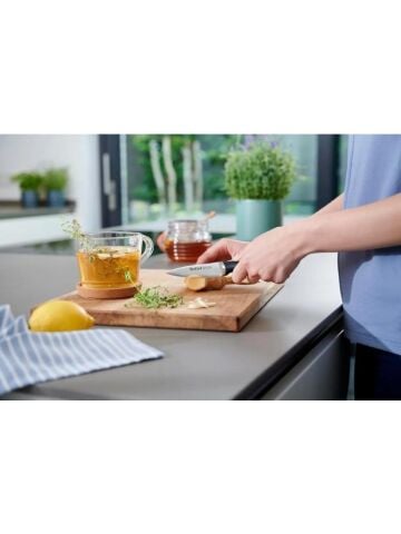 Tefal Ice Force 5 parça Bloklu Bıçak Seti