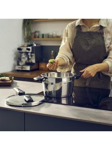 Fissler Vitaquick Elemental 4.5 lt Düdüklü Tencere