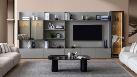 Zenith TV Ünitesi