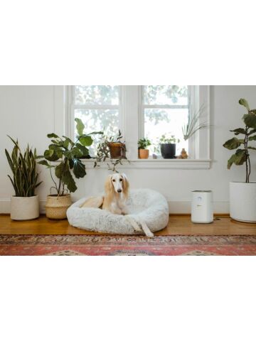 Karcher AF 20 Hava Temizleyici